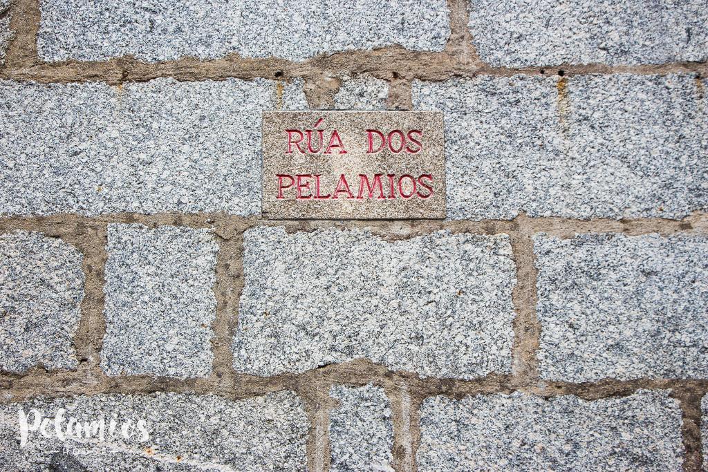 Pelamios House Apartman Santiago de Compostela Kültér fotó